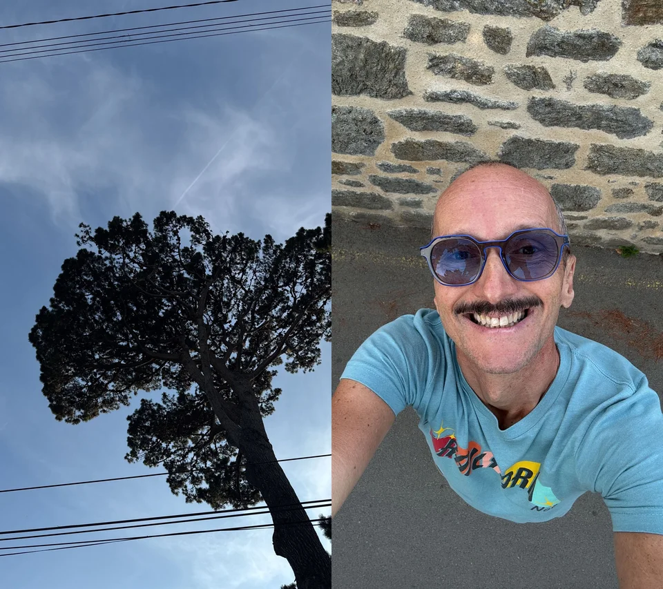 Un instant figé où l’arbre rêve de danser, et lui s’imagine en oiseau, prêt à s’envoler. 
Mais qui, de l’arbre ou du sourire, porte le monde sur ses épaules ?